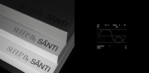 平面设计 Santi 豪华床上用品公司品牌形象设计